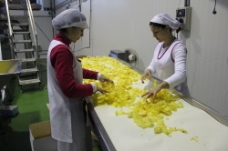 umbrete_patatas